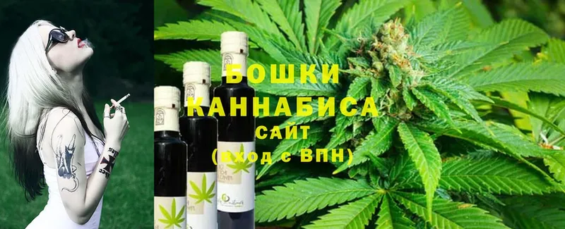 Бошки марихуана план  Губкинский 